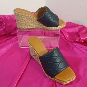Andre Assous Women's Eur SZ 38 US SZ 7 Analise Wedge Sandal, Blue.